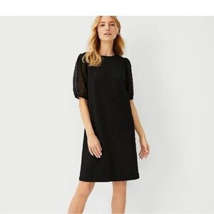 Ann Taylor Black Eyelet Shift Mini Dress with Sheer Puff Sleeves